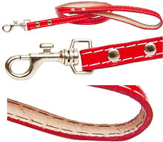 Guia Simples Colorida